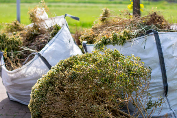 Best Yard Waste Removal  in Ripley, MS