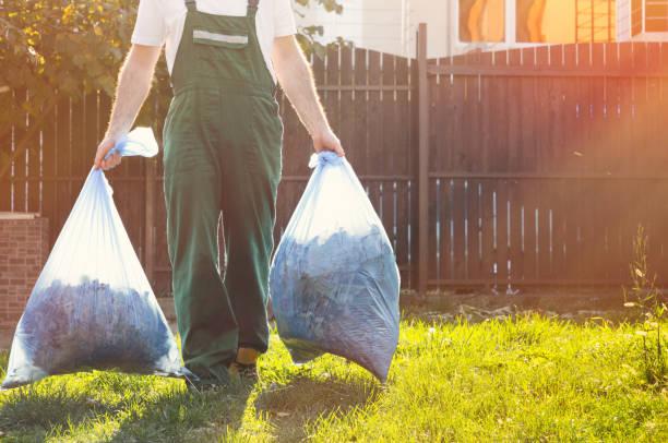 Best Dumpster Rental Services  in Ripley, MS